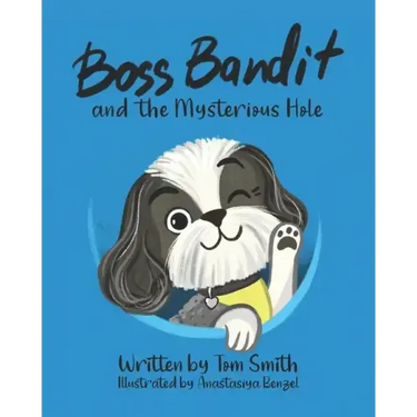 Boss Bandit and the Mysterious Hole