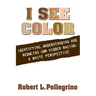 I See Color: Identifying, Understanding & Reducing Hidden Racism: A White Perspective