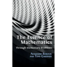 The Essence of Mathematics Through Elementary Problems