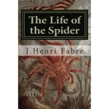 The Life of the Spider