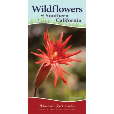 Wildflowers of Southern California: Your Way to Easily Identify Wildflowers