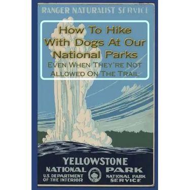 How To Hike With Dogs At Our National Parks - Even When They're Not Allowed On The Trail