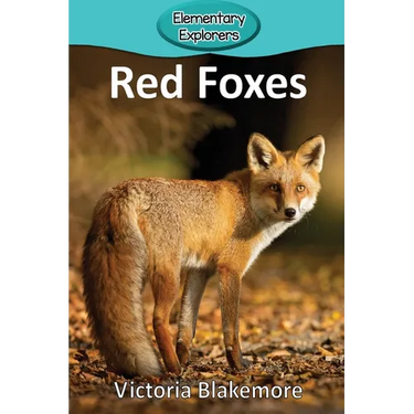 Red Foxes