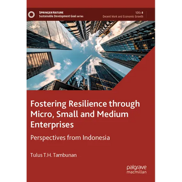 Fostering Resilience Through Micro, Small and Medium Enterprises: Perspectives from Indonesia