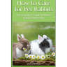 How to Care for Pet Rabbits: The beginners Guide to House Rabbit Ownership