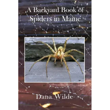 A Backyard Book of Spiders in Maine
