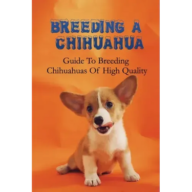 Breeding A Chihuahua: Guide To Breeding Chihuahuas Of High Quality: Chihuahua Dog Breed Information