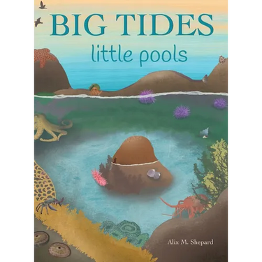 Big Tides Little Pools
