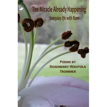 The Miracle Already Happening