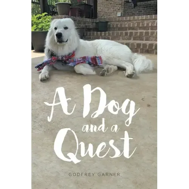 A Dog and a Quest