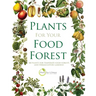 Plants for Your Food Forest: 500 Plants for Temperate Food Forests and Permaculture Gardens
