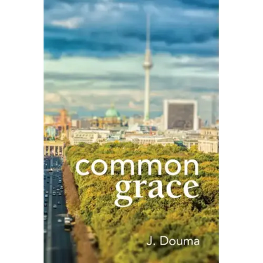 Common Grace in Kuyper, Schilder, and Calvin: Exposition, Comparison, and Evaluation