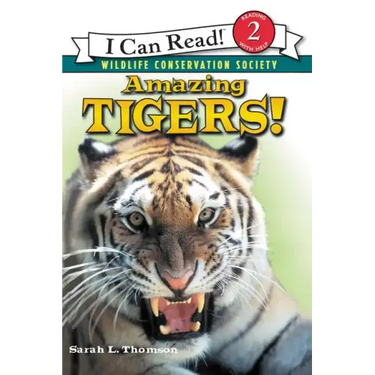 Amazing Tigers!