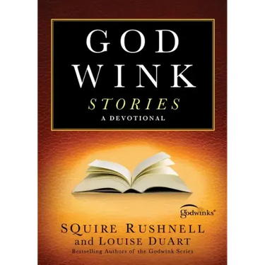 Godwink Stories: A Devotional