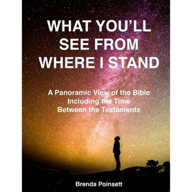 What You'll See From Where I Stand: A Panoramic View of the Bible Including the Time Between the Testaments