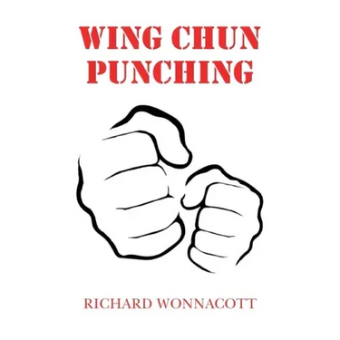 Wing Chun Punching
