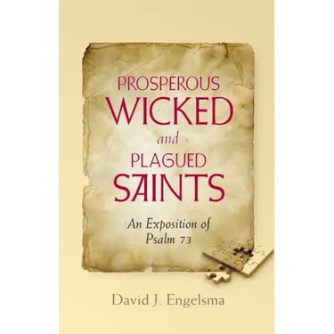 Prosperous Wicked and Plagued Saints: An Exposition of Psalm 73