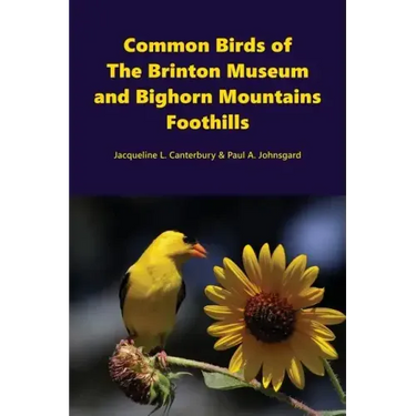 Common Birds of The Brinton Museum and Bighorn Mountains Foothills