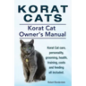 Korat Cats. Korat Cat Owners Manual. Korat Cat care, personality, grooming, health, training, costs and feeding all included.