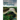 Plants and the K-T Boundary