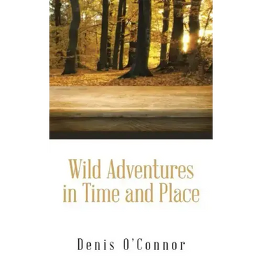 Wild Adventures in Time and Place