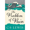The Problem of Pain