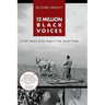 12 Million Black Voices