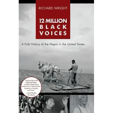 12 Million Black Voices