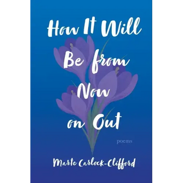 How It Will Be from Now on Out: Poems