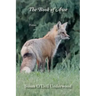 The Book of Awe