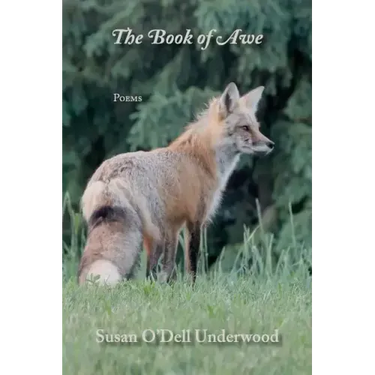 The Book of Awe