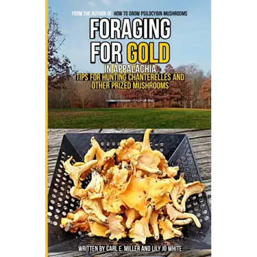 Foraging for Gold in Appalachia: Tips for Hunting Chanterelles and Other Prized Mushrooms