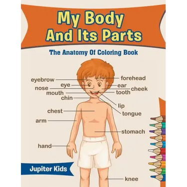 My Body And Its Parts: The Anatomy Of Coloring Book
