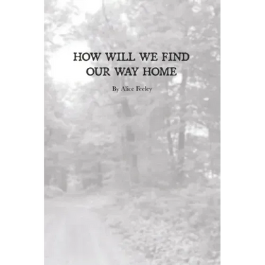 How Will We Find Our Way Home
