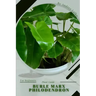 Burle Marx Philodendron: Plant Guide