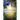 Unbreakable Softcover
