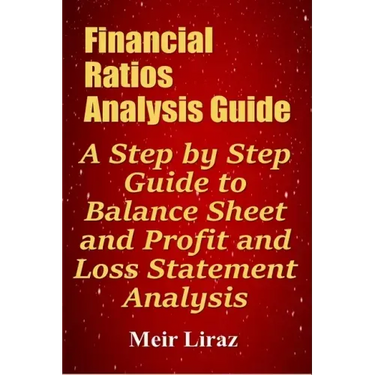 Financial Ratios Analysis Guide: A Step by Step Guide to Balance Sheet and Profit and Loss Statement Analysis