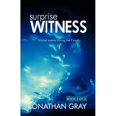The Surprise Witness