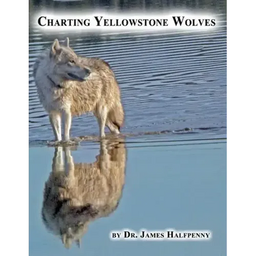 Charting Yellowstone Wolves