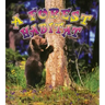 A Forest Habitat