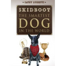 Skidboot 'the Smartest Dog in the World'
