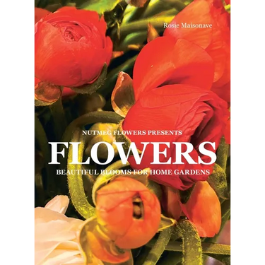 Flowers: Beautiful Blooms for Home Gardens