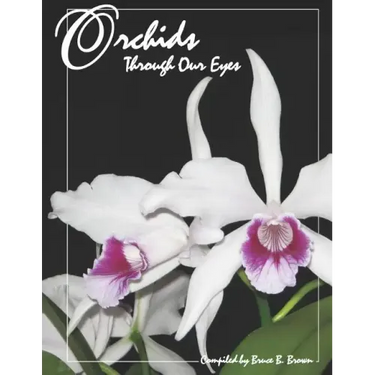 Orchids Through Our Eyes