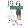 1916: A Novel of the Irish Rebellion