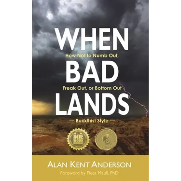 When Bad Lands: How Not to Numb Out, Freak Out, or Bottom Out-Buddhist Style