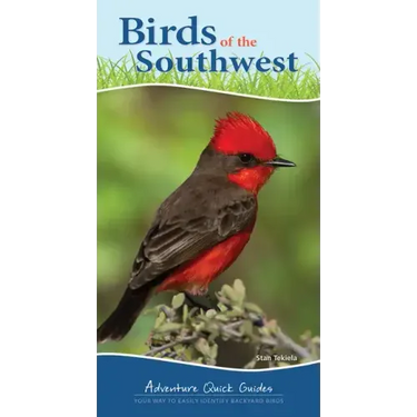 Birds of the Southwest: Your Way to Easily Identify Backyard Birds