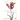 Harbour: Poems 2000-2019