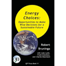 Energy Choices: Opportunities to Make Wise Decisions for a Sustainable Future