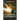 Starflight to Eternity