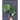 The New Plant Collector: The Next Adventure in Your House Plant Journey